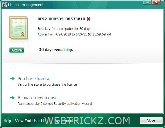 Kaspersky Internet Security 2011 License