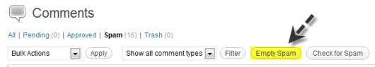delete-spam-comments_wordpress
