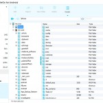 File Manager