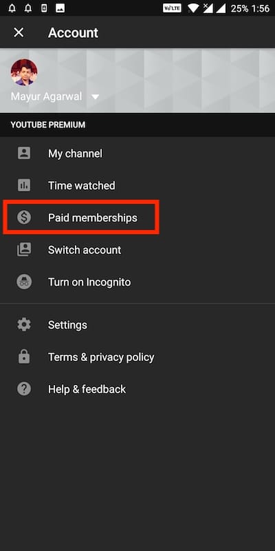 youtube paid memberships