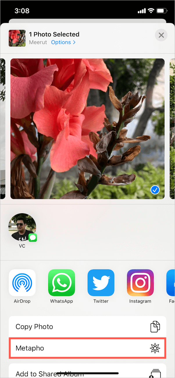 metapho in ios share sheet