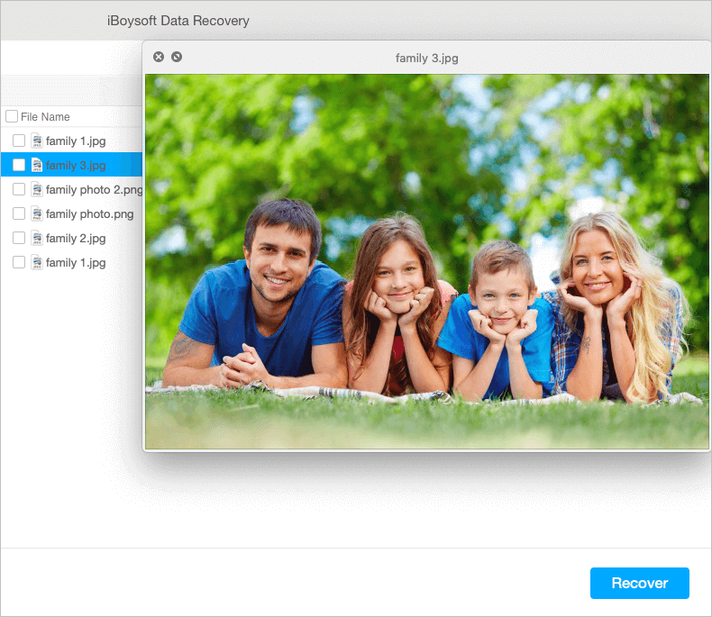 preview pictures to recover