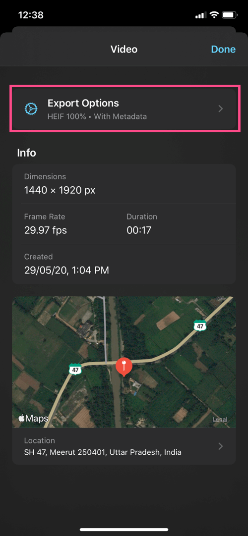 export options in frame grabber app