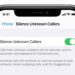remove call silencing on iOS 14