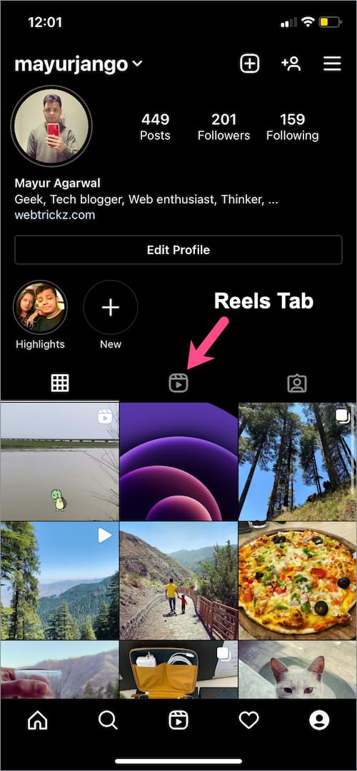 reels tab in instagram app