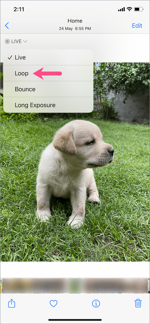 how to add fun effects to a Live Photo in iOS 15