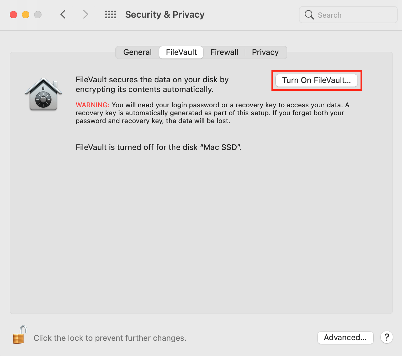 turn on FileVault on macOS
