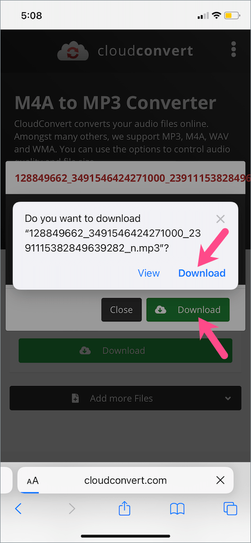 download reels audio as mp3 on iPhone