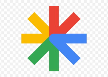google discover logo