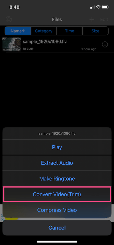 convert flv to mp4 on iphone for free