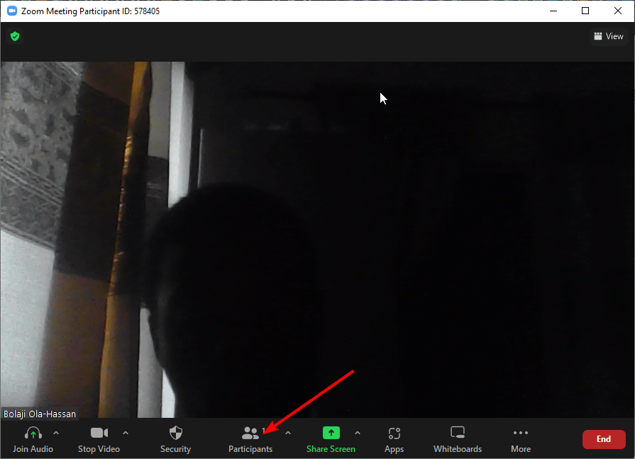 participants tab on zoom app