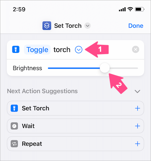 set torch default brightness