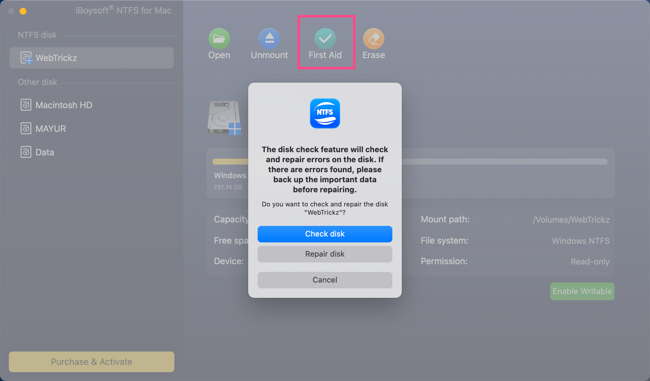 check and repair NTFS disk on Mac